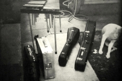 Jimi headed to practice, and Beemer the neighbor's dog